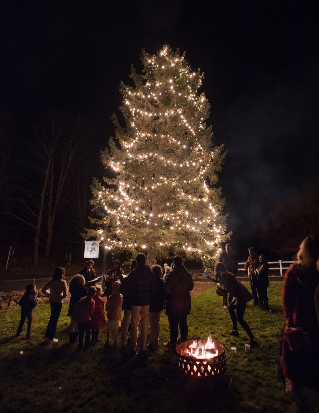 RCC_gingerbread_D750-10
